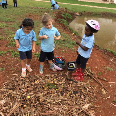 outdoor_classroom_day_1.png